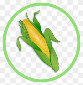 Mais Corn - Maize Clipart