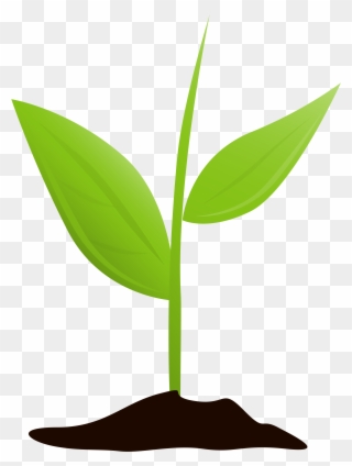 Get Started And Grow - Plant Growing Transparent Clipart
