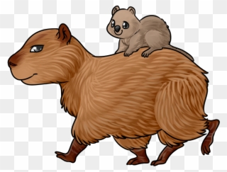 Capybara Clipart Transparent - Drawing - Png Download