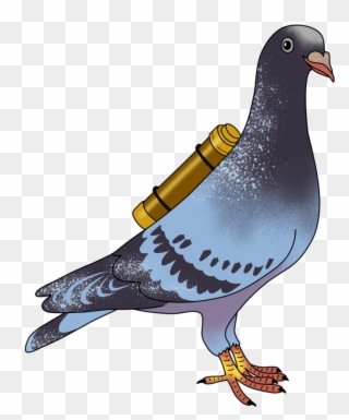 Dangerlam Carrierpigeon - Rock Dove Clipart