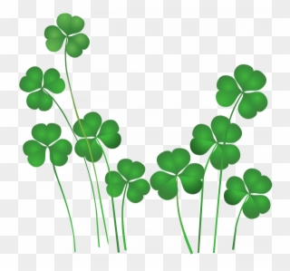 Patrick's Day Weekend - National Flower Of United Kingdom Clipart
