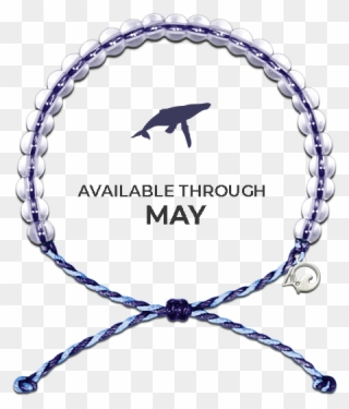4ocean Whale Bracelet Clipart