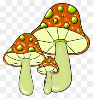 Snail - Fungus Clipart