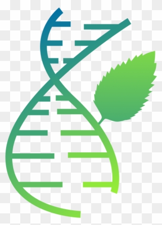 Mint Can Analyze Structure Of Your Rna Molecule Meaning - Icon Clipart