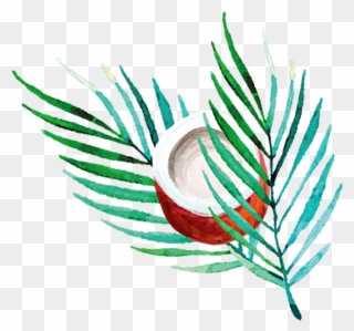 Meditation - Cinnamon Leaf Oil Clipart