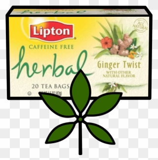 Herbal Tea - Lipton Herbal Tea Bags, Ginger Twist - 20 Tea Bags, Clipart