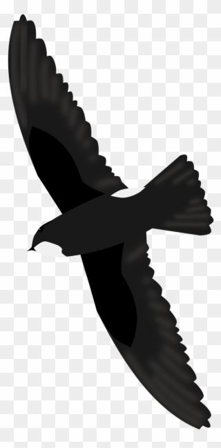House Swift Clipart