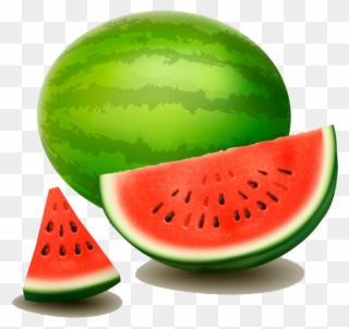 Citrullus Lanatus Drawing Photography Watermelon Illustrator - Big Watermelon Drawing Clipart