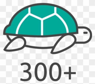There Are More Than 300 Unique Species Of Wildlife - Tortoise Clipart