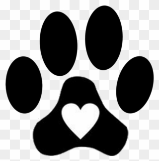 Liverpool S Finest Is A Small Local Dog Walking Business - Cat Footprint Clipart