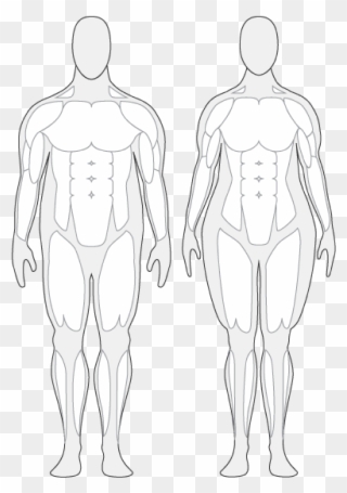 Body Composition Cliparts - Overweight Human Body - Png Download