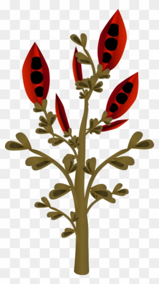 Petal Leaf Flower Floral Design - Flower Clipart