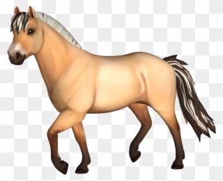 Fjord Horse Clipart