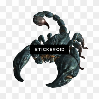 Scorpion Insects Scorpions - Fallout 3 Radscorpion Clipart