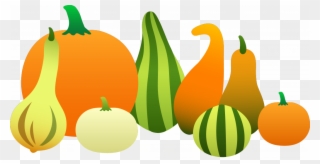 Thanksgiving Gourds1-1024x527 - - Gourd Clipart - Png Download