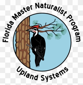 Picture - Florida Master Naturalist Clipart