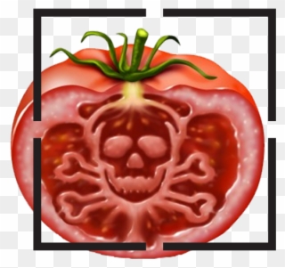 Focus On Food Ep - Food Safety Management In China: A Perspective Clipart