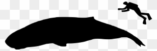 Open - Whale Size Clipart