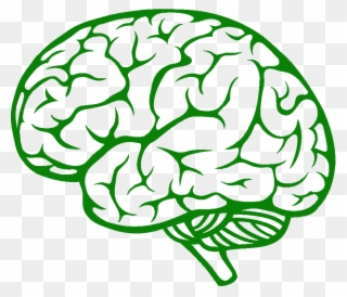 Brain Side View Vector Clipart