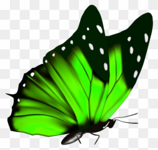 Download Green Butterfly Clipart Png Photo - Green Butterfly Transparent Background