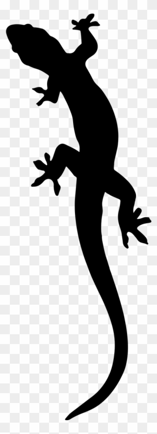 Gecko Silhouette - Salamander Silhouette Clipart