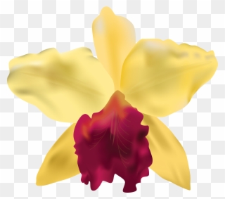 0, - Flower Clipart