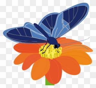 Free Butterfly On A Flower - Butterfly On Flower Clip Art - Png Download