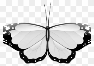 Wedding Clipart Butterfly - Monochrome Butterfly - Png Download