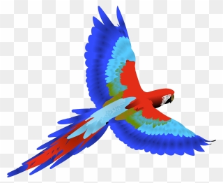 Parrot Clip Art Cartoon Bclipart Free Images - Macaw Clipart - Png Download