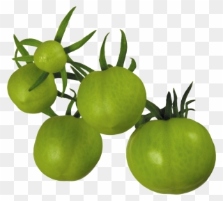 Vegetable Clipart Transparent Background - Green Tomato Png