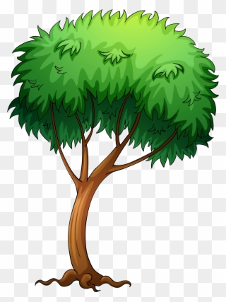 Pictures Of Trees Image - Tree Cartoon Png Transparent Clipart