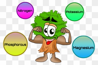 Nutrients For Plants Clip Art - Nutrients For Plants Clipart - Png Download