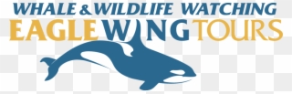 Eagle Wings Tours - Eagle Wing Tours Logo Clipart