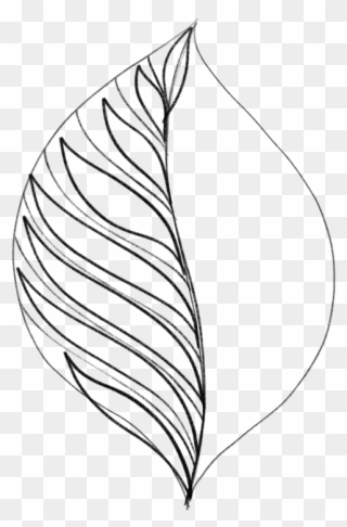 Drawing Leaves Easily Using Simple Shapes Jspcreate - Drawing Clipart