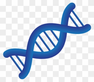 Medical Personalized Medicine Chromosome Clipart