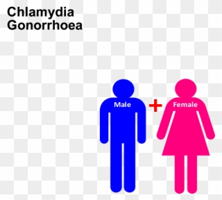 Sti Screening Test Chlamydia, Gonorrhoea Clipart
