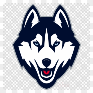 Download Uconn Colors Clipart University Of Connecticut - Png Download