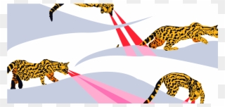 Long Search Big Cats Feline Ocelot Art Design Vector Clipart