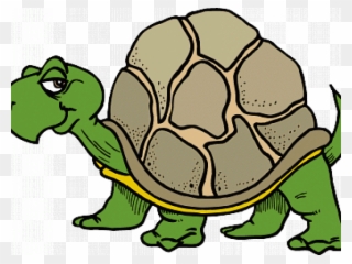 Slow Clipart Sick Turtle - Png Download (#2265035) - Pinclipart