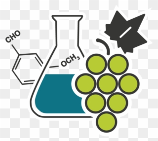 Department Of Microbiology Biochemistry Translate To Clipart