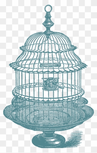 Download Above Set Of Bird Cage Stock Images - Victorian Bird Cage Line Drawing Clipart