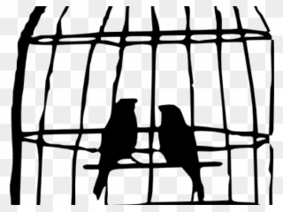 Cage Clipart Bird's - Bird In Cage Drawing - Png Download
