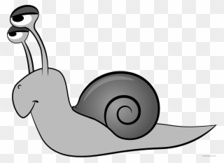 Cartoon Snail Animal Free Black White Images - Snail Transparent Cartoon Clipart