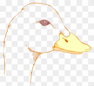 Duck Drawing Cliparts - Draw A Duck Head - Png Download