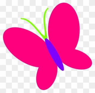 Clipart Colorful Butterfly - Png Download