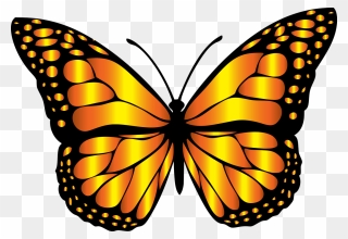 Butterfly Clip Art Free Download On - Butterfly Clip Art - Png Download