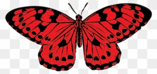 Picture Free Stock 5 Clipart Colored Butterfly - Plain Tiger Butterfly Drawing - Png Download