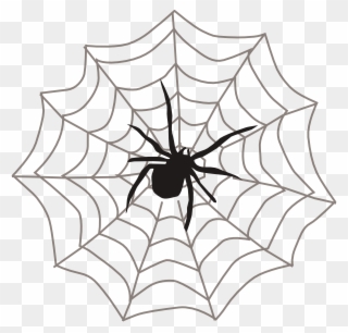 Spider On Web Clipart - Png Download