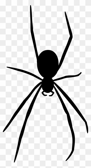 Free Spider Silhouette Free Spider Free Black - Realistic Spider Clip Art - Png Download