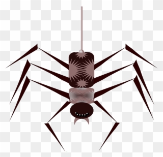 Cartoon, Bugs, Spider, Bug, Free, Web, Insect, Insects - Animated Spider Png Gif Clipart